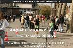 11814 photo